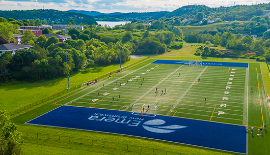 card - community Emera Field